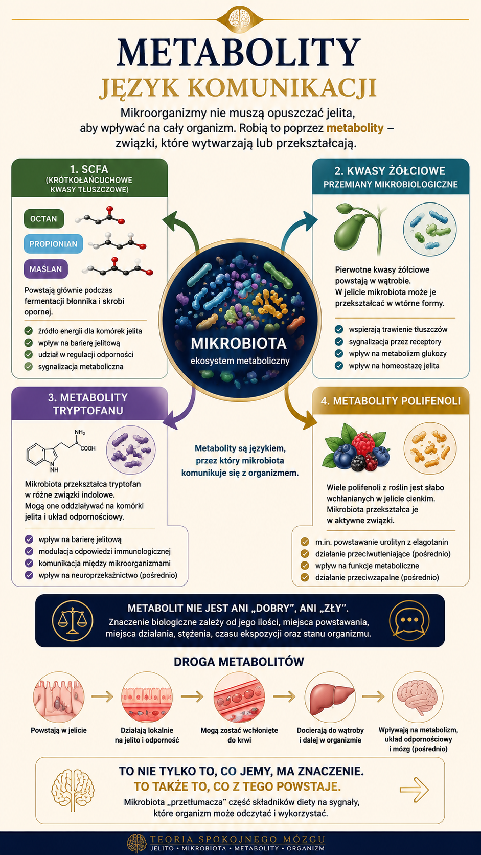 Metabolity – związki, przez które mikrobiota wpływa na otoczenie